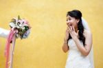 Beautiful Asian Bride Stock Photo