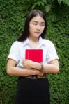 Thai Adult Student University Beautiful Girl Reading Red Book Stock Photo