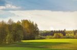 Green Spring Cultivated Fields. Sunny Spring Day Stock Photo