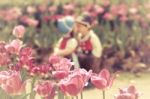 Two Kissing Dolls In Tulip Garden Stock Photo