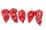 Red Peppers Stock Photo