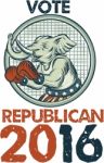 Vote Republican 2016 Elephant Boxer Etching Stock Photo