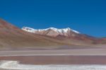 Laguna Canapa In Altiplano A Salt Lake, Bolivia Stock Photo