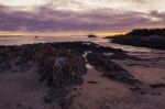 Beautiful View Of Rocky Cape, Tasmania Stock Photo