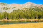 Yosemite National Park In California Stock Photo