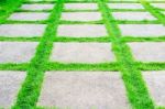 Green Grass Growth Between Cement Walkway Stock Photo