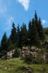 Mountain Landscape On Summer Day Stock Photo