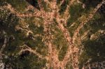 Beautiful Tree Located In Brisbane City Covered In Lights Stock Photo