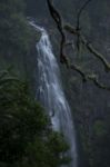 Morans Falls In Tamborine Mountains Stock Photo