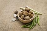 Closeup Barometer Earthstars Mushroom In Wooden Bowl Stock Photo