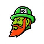 Leprechaun Head Mascot Stock Photo