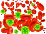 Virus Cell And Blood Cell  Stock Photo