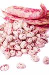 Borlotti Beans Stock Photo