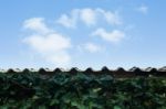 Blue Sky On Roof Top Stock Photo