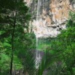 Purlingbrook Falls In Springbrook Stock Photo