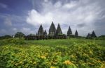 Beautiful Prambanan Temple Stock Photo