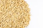 Paddy Rice Stock Photo