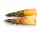 Bamboo Shoot Stock Photo