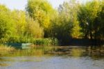 Autumn Scenery Near A Lake With Yellow Leaves On  Trees In Fall Stock Photo