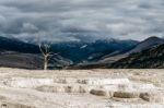 Mammoth Hot Springs Stock Photo