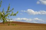 The Plowed Fields Stock Photo