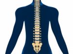 Back Pain, Spine, Backache Stock Photo