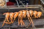 Shrimp Grilled Stock Photo