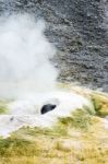 Norris Geyser Basin Stock Photo