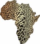 Africa In Animal  Camouflage Stock Photo