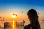 Silhoutte Of Birds Flying And Young Woman At Sunset Stock Photo