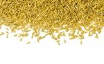 Top View Of Paddy Rice And Rice Seed On The White Background For Isolated Stock Photo