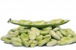 Broad Beans Stock Photo