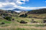 The Otago Peninsula New Zealand Stock Photo