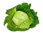 Cabbage Isolated On The White Background Stock Photo