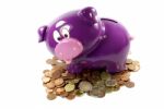 Purple Piggy Bank with coins Stock Photo