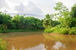 The River In Local City And Forest With Sunset Stock Photo