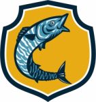 Wahoo Fish Jumping Shield Retro Stock Photo