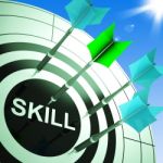 Skill On Dartboard Showing Expertise Stock Photo