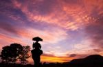 Silhouette Elephant With Tourist At Sunset Stock Photo