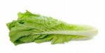 Lettuce Leaves Isolated On White Background Stock Photo