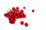 Redcurrants Stock Photo