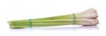 Lemon Grass Isolated On The White Background Stock Photo