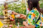 Songkran Festival Stock Photo