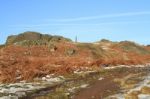 Bradgate Park In The Snow Stock Photo