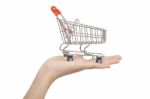 Shopping Cart On Hand Stock Photo