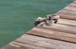 Mooring Cleat Stock Photo