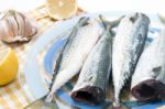 Raw Mackerel Fish Stock Photo