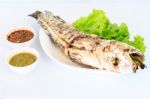 Grilled Salted Catfish Stock Photo