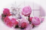 Vintage Valentines Roses Flower Stock Photo