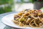 Spaghetti Pasta With Sweet Basil Stock Photo